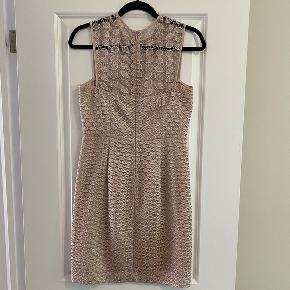 Diane von Furstenberg DVF Kinchu Lace Sheath Dress - Size 4 - Picture 7 of 13